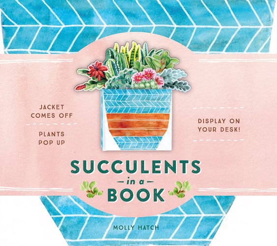 Succulents in a Book (H/C)